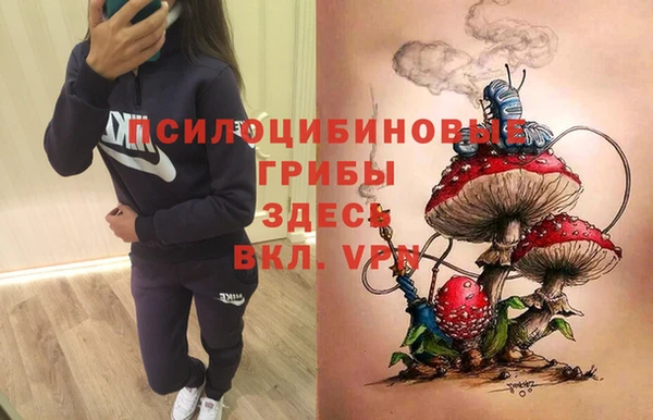 мдма Гусиноозёрск