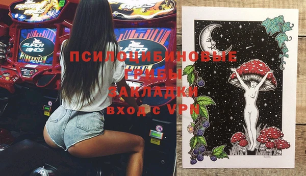 гидропоника Гусь-Хрустальный