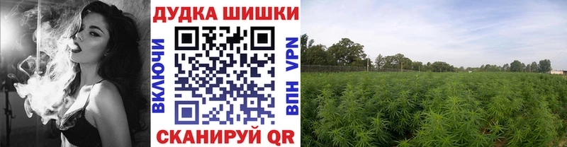 Купить где  Белоусово  Шишки марихуана ГИДРОПОН 